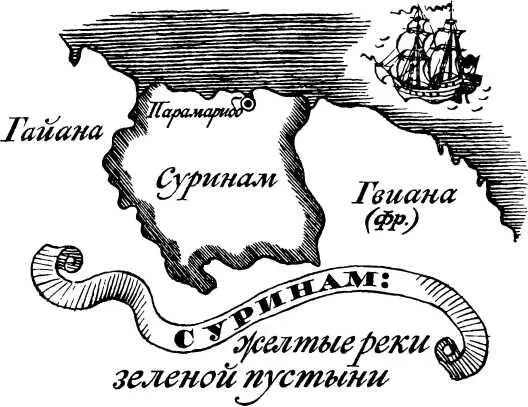СУРИНАМ ЖЕЛТЫЕ РЕКИ ЗЕЛЕНОЙ ПУСТЫНИ Ох не близкий свет эта страна даже для - фото 16