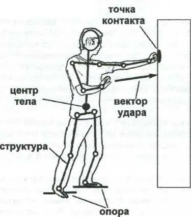 Рис 11 Удар и составляющие биомеханики удара Принципиально тело имеет одно - фото 1