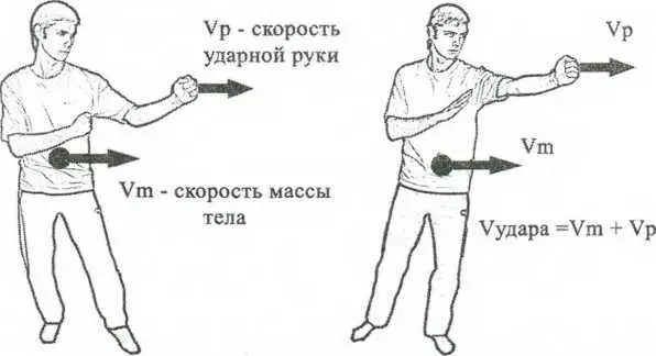 Рис 39Скорость удара как сумма скоростей массы тела и руки Удар является - фото 65