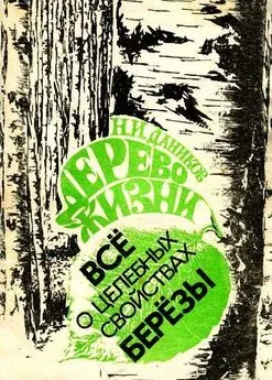 Николай Даников - Дерево жизни. Всё о целебных свойствах березы