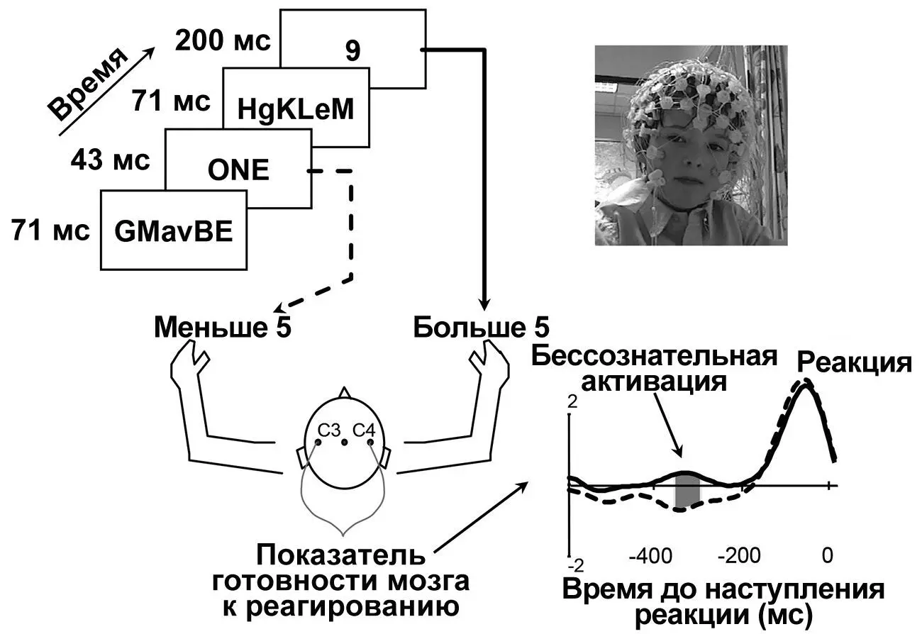Рисунок 11Наша моторная кора может подготовить ответ на стимул которого мы не - фото 13