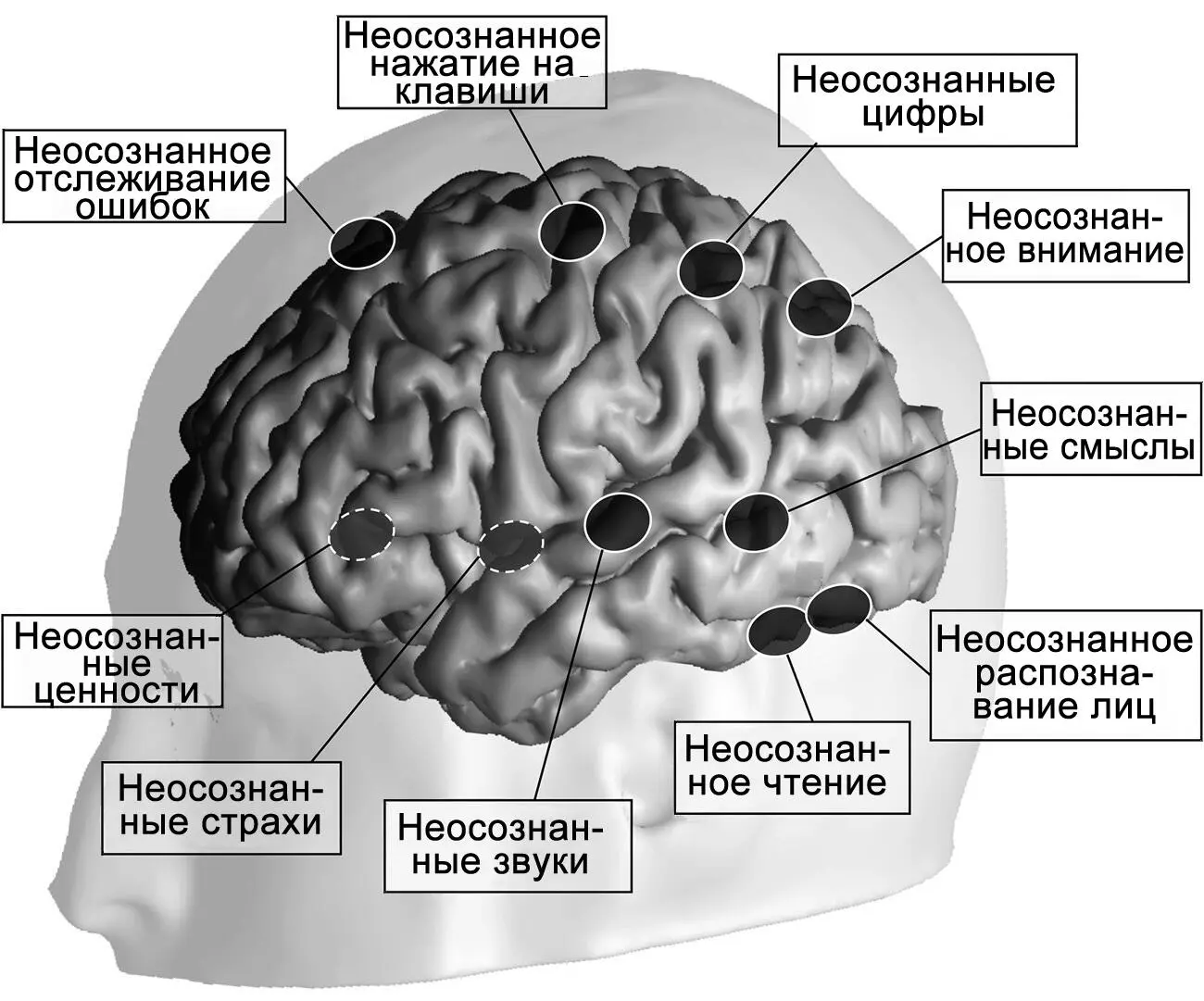 Рисунок 13Бессознательная деятельность человеческого мозга На данном рисунке - фото 15