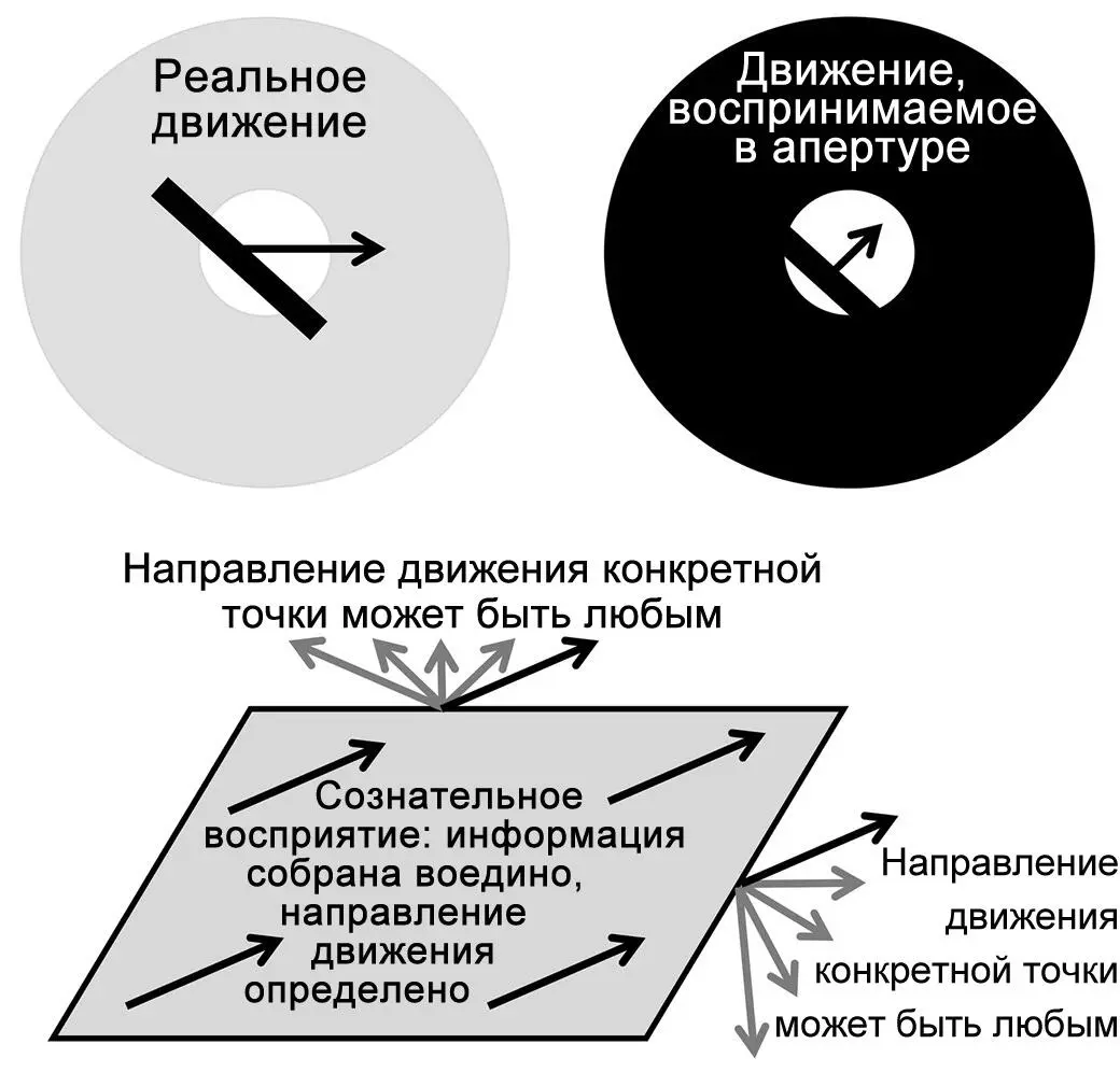 Рисунок 14Сознание помогает делать выводы из неоднозначных ситуаций Нейроны - фото 16