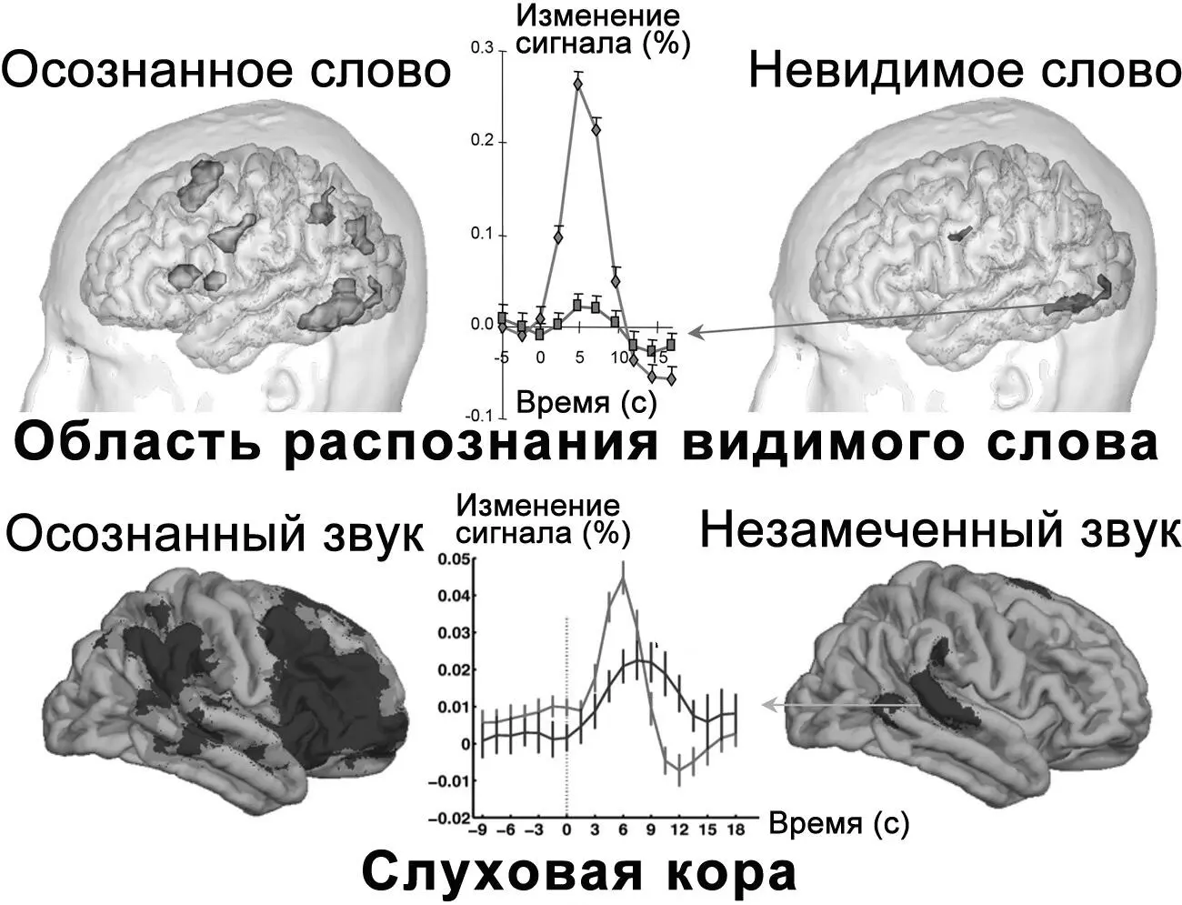 Рисунок 16Первым автографом сознательного восприятия является интенсивное - фото 18