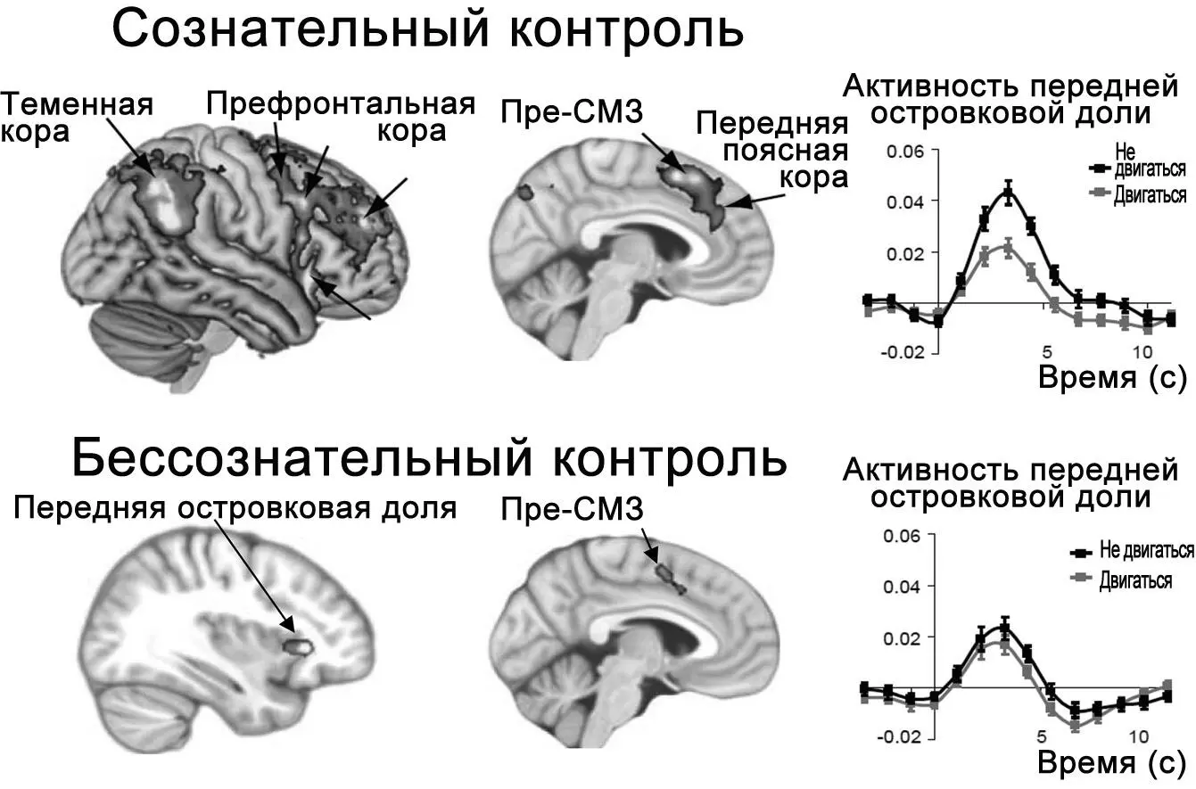 Рисунок 17Нейронные цепи отвечающие за сознательные или бессознательные - фото 19