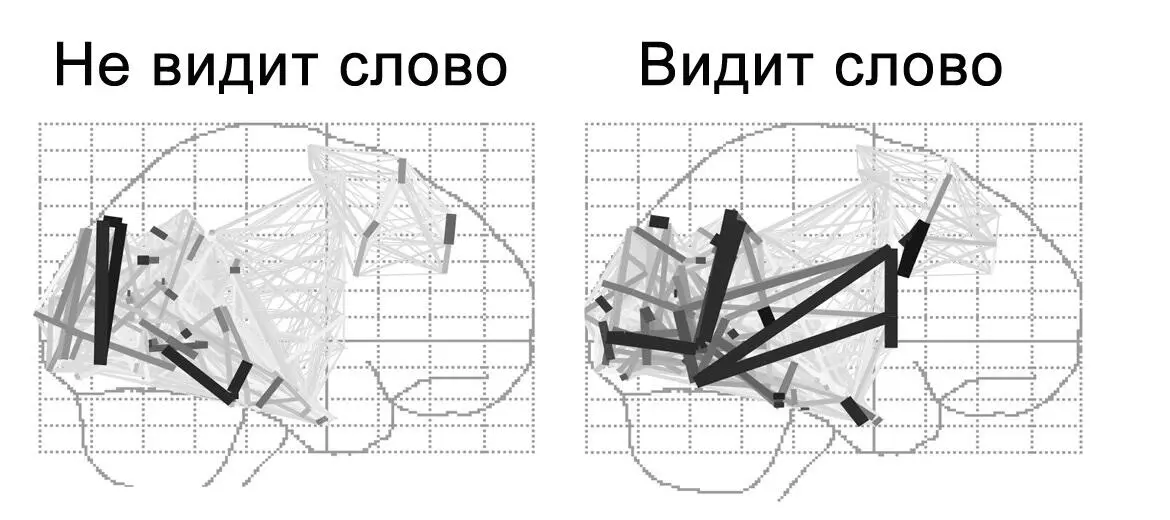 Рисунок 21Синхронизация ряда удаленных друг от друга областей мозга - фото 24