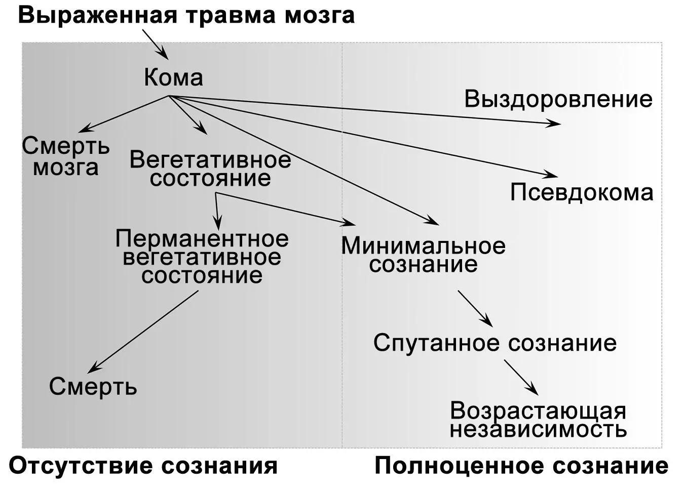 Рисунок 29Травма мозга может стать причиной разнообразных нарушений сознания и - фото 32