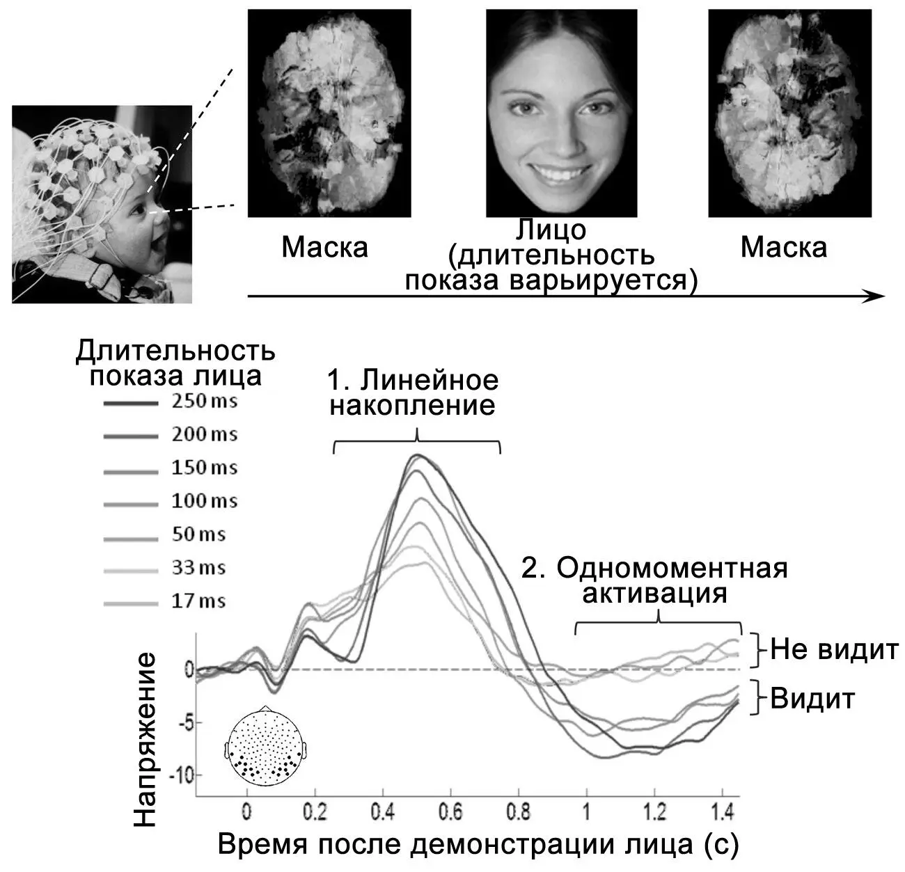 Рисунок 35У детей наблюдаются те же автографы сознательного восприятия что и - фото 38