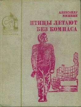 Александр Мишкин - Птицы летают без компаса. В небе дорог много [Повести]