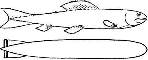 Рис 4 Рыба и цеппелин Нужно ли упоминать что современные быстроходные - фото 5