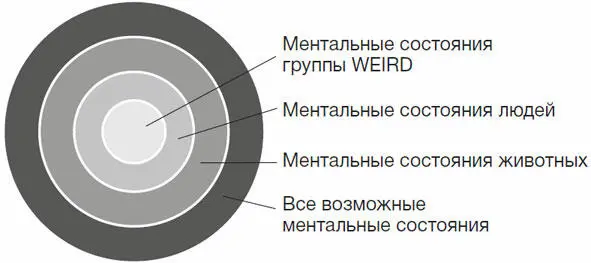 Спектр сознания А за пределами ментального спектра людей летучих мышей китов - фото 49