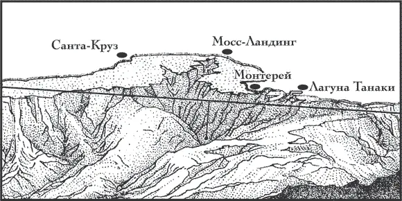 Подводный каньон Монтерей это не только ареал распространения морских - фото 2