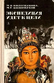Михаил Колесников - Экспедиция идет к цели [Приключенческая повесть]