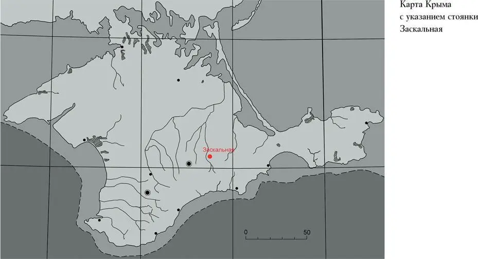 Морские животные никогда не привлекали неандертальцев даже тех что жили на - фото 73