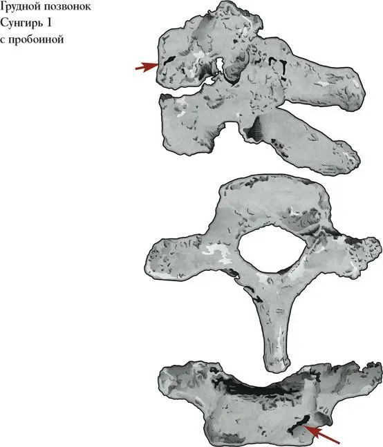 Поводы для вражды многообразны защита территории кража женщин ритуальные - фото 94