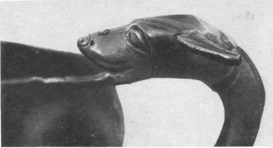 Рисунок 40 Аргос Микены Клад грабителей возле круглой усыпальницы А голова - фото 43