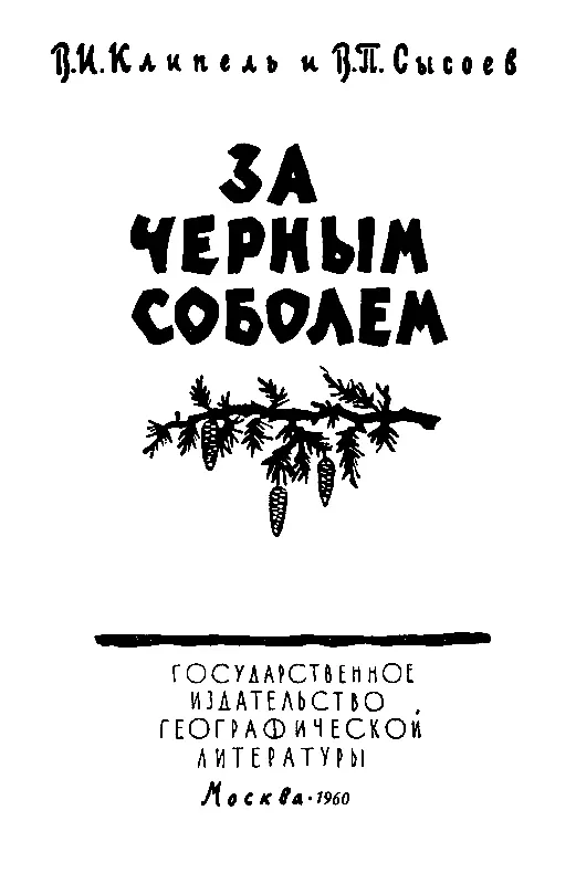 НЕОЖИДАННОЕ НАЗНАЧЕНИЕ Золотая пора самонадеянная безрассудная молодость - фото 2