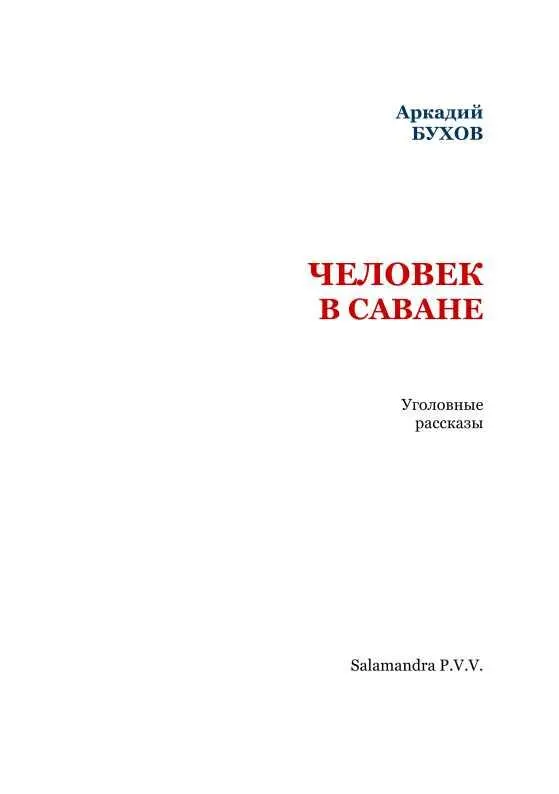 Дикий случай Господа судьи и господа присяжные заседатели В ночь на тысяча - фото 2