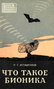 Петр Асташенков - Что такое бионика