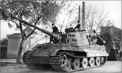 Королевские тигры 2й роты 503го тяжелого танкового батальона на улице - фото 212