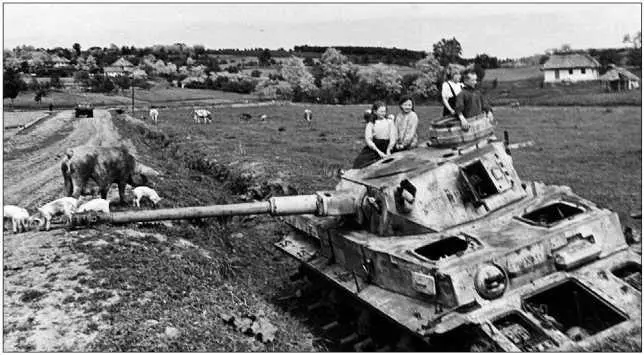 После тяжелых боев зимой 194344 года на Украине осталось много подснежников - фото 195
