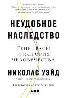 Николас Уэйд - Неудобное наследство: Гены, расы и история человечества