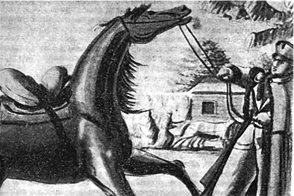 Со своей лошадью Арапкой 30 ноября 1812 г Рисунок А В Чичерина Военный - фото 19