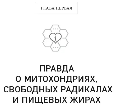 Если вы читаете эту книгу смею предположить что вы осознаете связь между - фото 2