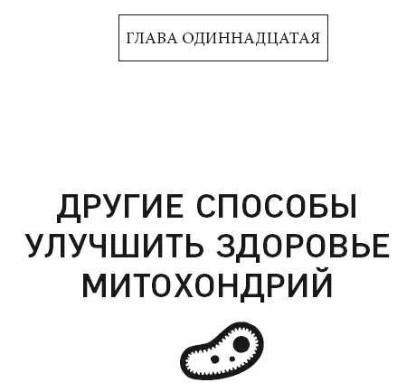 Без сомнения самый эффективный способ улучшить здоровье митохондрий это - фото 54