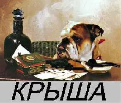 Помнится после работы в райотделе на меня сильное впечатление попервости - фото 8