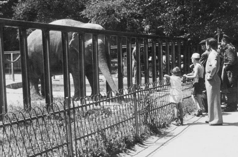 Марлен Матвеев с Володей и Сашей Высоцкими Фото Алексея Высоцкого Марлен - фото 195