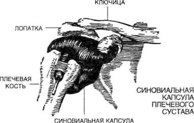 При движении одной кости относительно другой важное значение придается снижению - фото 29