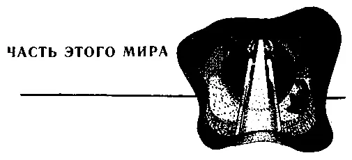 Они стояли на лестничной клетке Лифт шел откудато далеко снизу с пятьдесят - фото 8