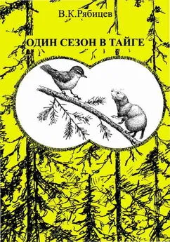 Вадим Рябицев - Один сезон в тайге