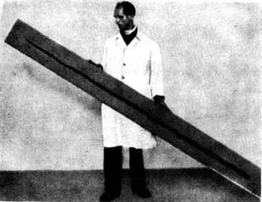 Рис 28 Рогатины мустьерского человека А острие деревянной рогатины из - фото 34