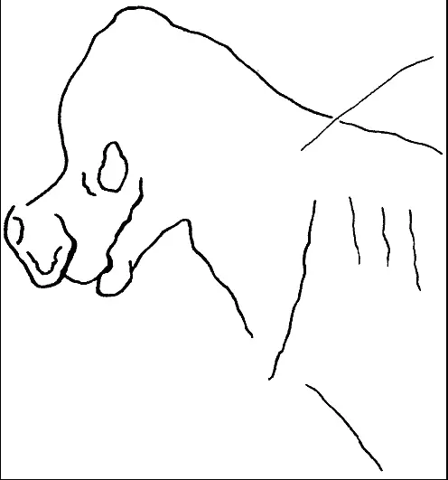 Рис 14 Рис 15 Рис 16 Рис 17 - фото 37