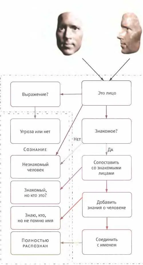 Распознавание лиц процесс по большей части бессознательный Если он нарушен - фото 103