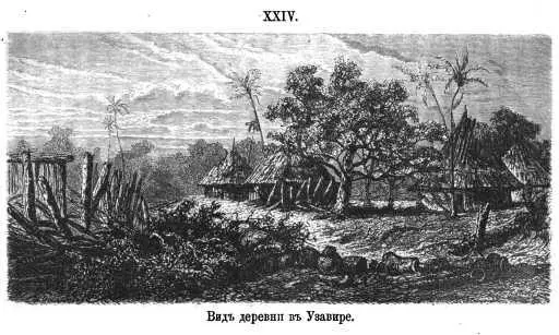 XXIV Вид деревни в Узавире Возвращаясь назад несколько дней спустя я узнал - фото 23