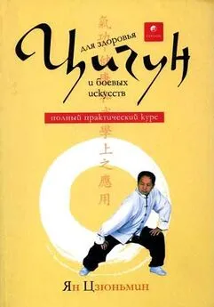 Ян Цзюньмин - Цигун для здоровья и боевых искусств [полный практическмй курс]