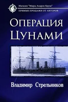 Владимир Стрельников - Операция «Цунами» [СИ]