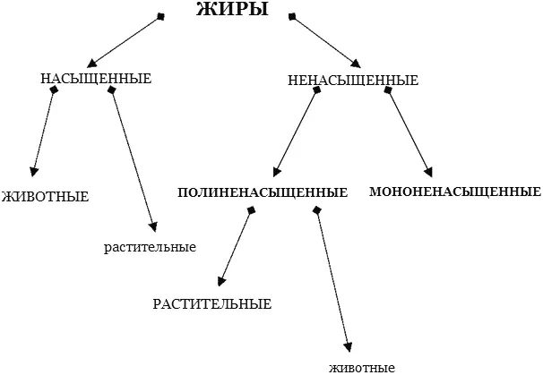 Между формой атомной цепочки и физическими свойствами жиров существует прямая - фото 11