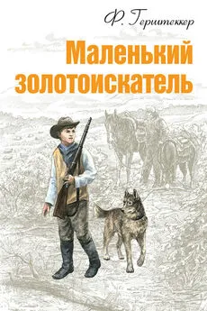 Фридрих Герштеккер - Маленький золотоискатель