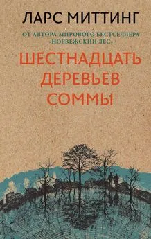 Ларс Миттинг - Шестнадцать деревьев Соммы