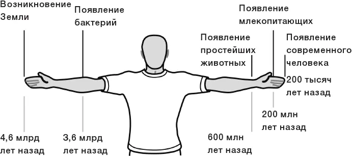 История Земли Итак животные никогда не жили отдельно от бактерий - фото 4