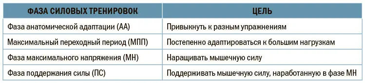 В таблице 133 кратко изложена программа тренировок нервномышечной системы - фото 88