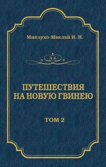 Николай Миклухо-Маклай - Путешествия на Новую Гвинею (Дневники путешествий 1872—1875). Том 1