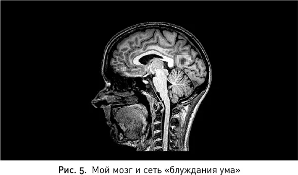 Недавние эксперименты бостонской команды исследователей показали что люди - фото 6
