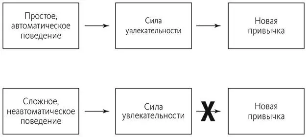 Рис 3Разные виды поведения требуют разных сил Обусловливание как часть силы - фото 6