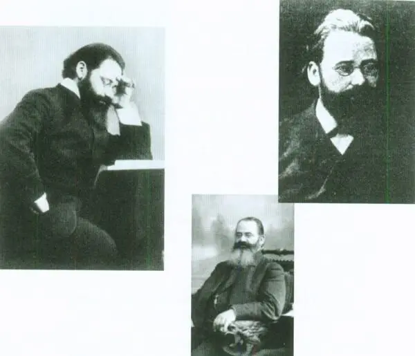 Сын Полины Венгеровой Семен Афанасьевич Венгеров 18551920 историк - фото 4