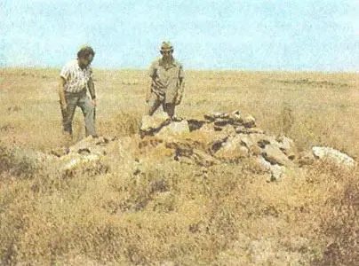 Каракалпакские археологи осматривают скопления камней близ одной из стрел - фото 70